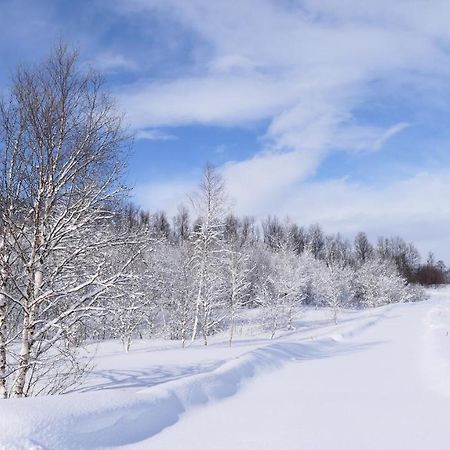 Wild Caribou'S Wildwood Cabin Lakselv Bagian luar foto