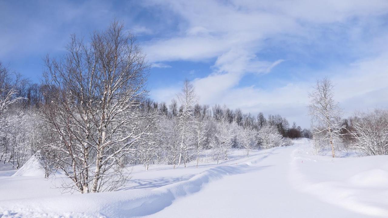Wild Caribou'S Wildwood Cabin Lakselv Bagian luar foto